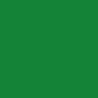 Vert Forêt - Tricot de Coton (200gsm)